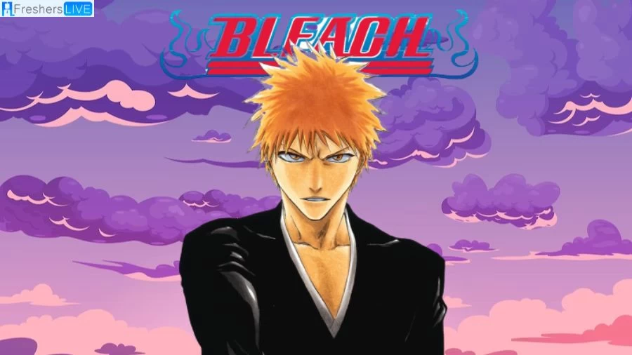 When Did Bleach Manga End | Know About The Conclusion Now!