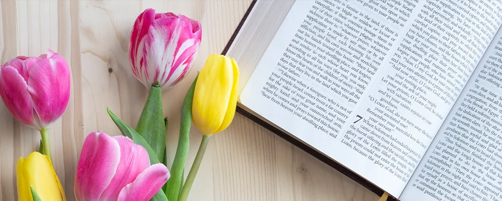 10+ Bible Verses for Funerals for Mother | You May Feel Better After Knowing Them