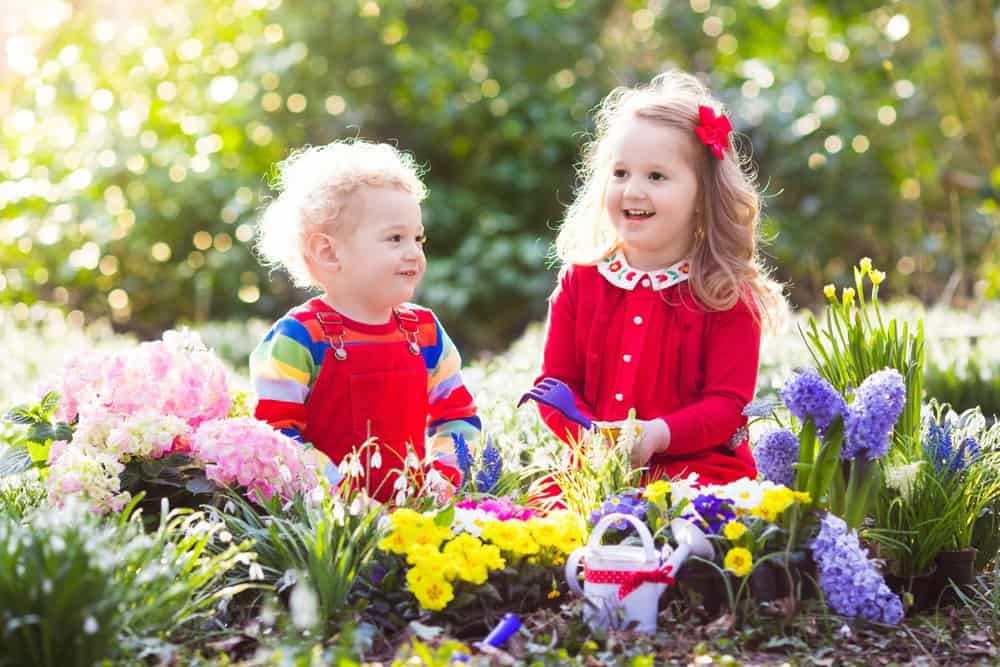 Know The 70+ Names That Mean Red | Get The Most Fiery Names For Your Child